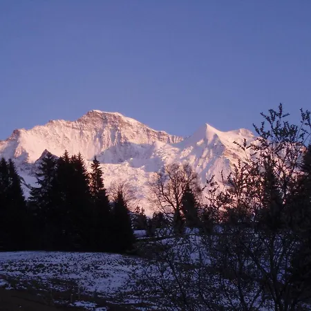 Viola - Verena's Loft