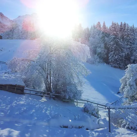 Viola - Verena's Loft Appartement *