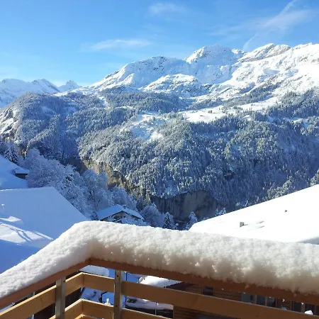 Viola - Verena's Loft