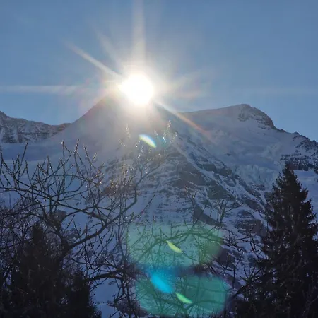 Apartmán Viola - Verena's Loft