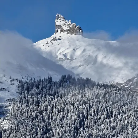 Viola - Verena's Loft Apartamento *