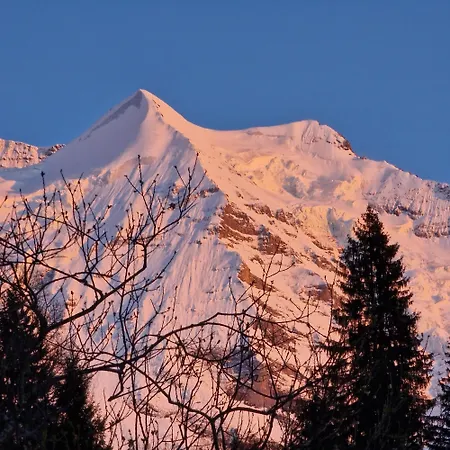 Apartamento Viola - Verena's Loft Wengen