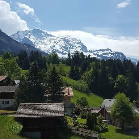 Viola - Verena's Loft *