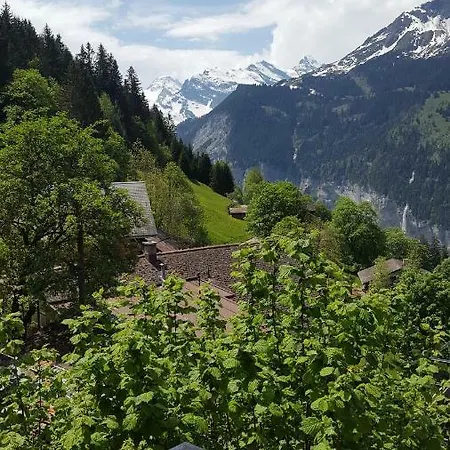 Viola - Verena's Loft Appartement