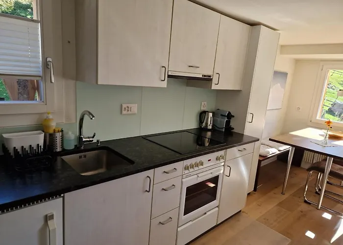 Viola - Verena's Loft Wengen