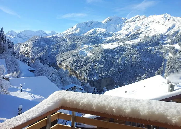 Viola - Verena's Loft