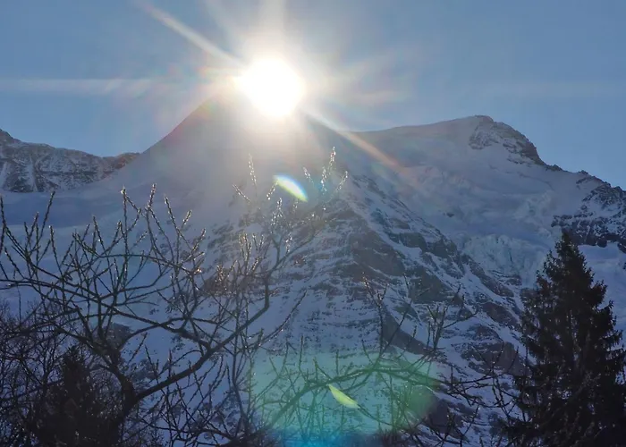 Apartamento Viola - Verena's Loft