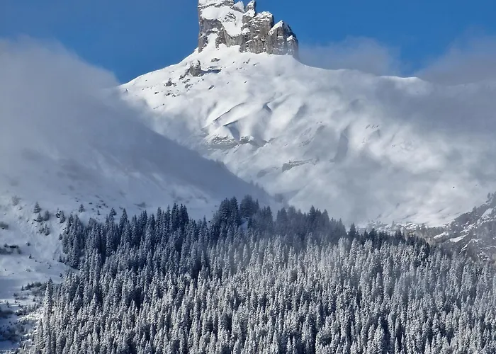 Viola - Verena's Loft Appartamento *