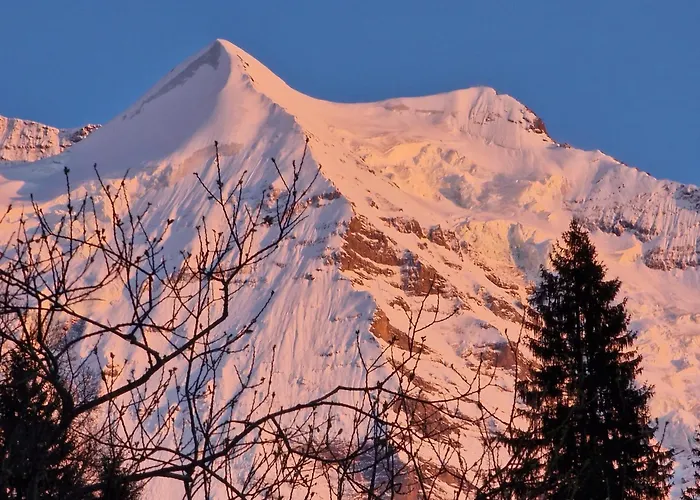 Apartmán Viola - Verena's Loft Wengen