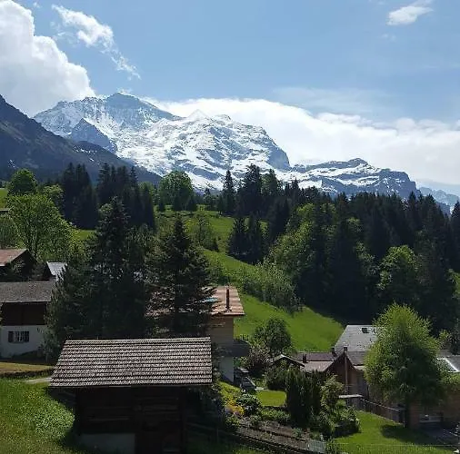 Viola - Verena's Loft *