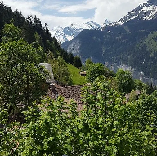 Viola - Verena's Loft Apartamento