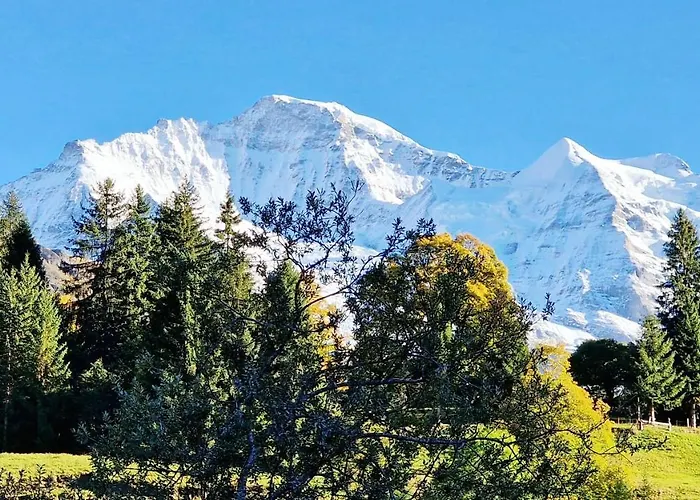 Viola - Verena's Loft דירה *
