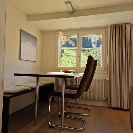 Viola - Verena's Loft Apartment Wengen