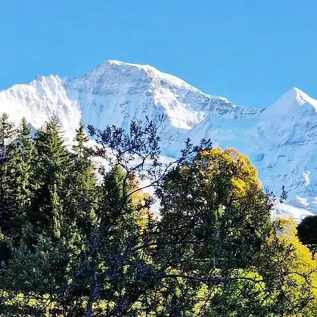 Viola - Verena's Loft Apartment *