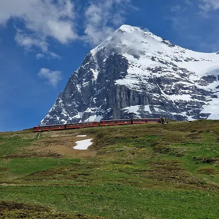 Viola - Verena's Loft Wengen