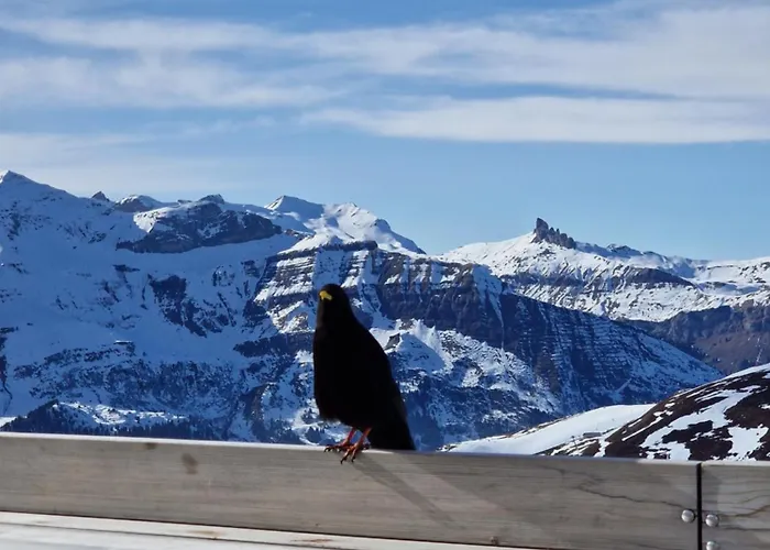 Viola - Verena's Loft * Wengen