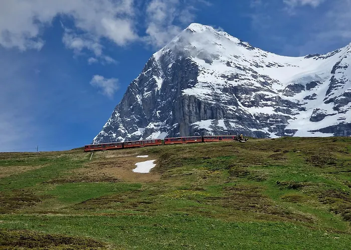 Viola - Verena's Loft Wengen